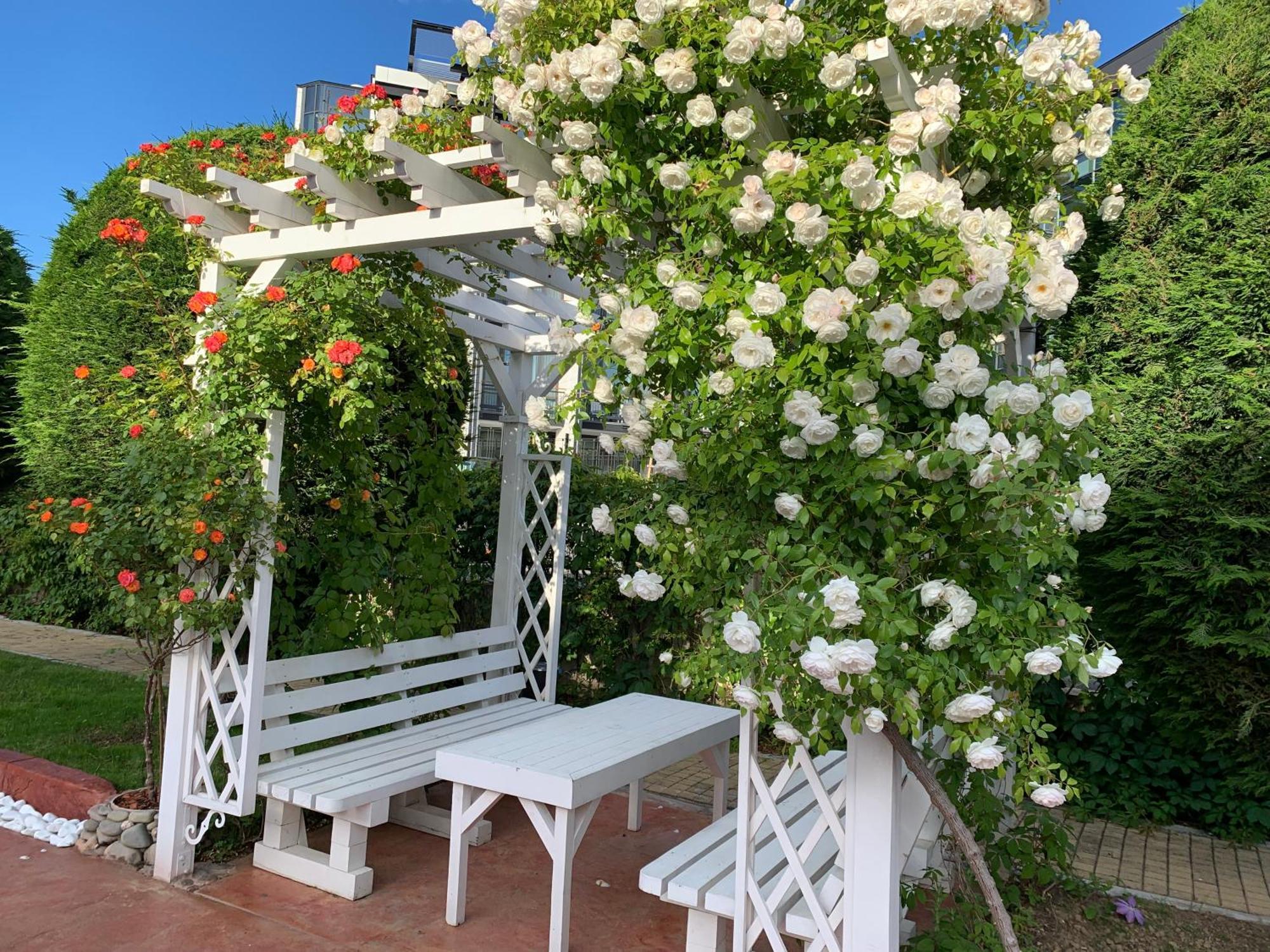 Sveti Vlas-Royal Bay 2-Avalonia Екстер'єр фото